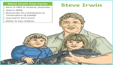 Why Was Steve Irwin Criticized? Unpacking Public Perceptions